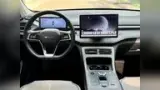 BYD King - Miniatura 9