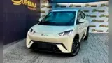 BYD Dolphin Mini - Miniatura 1