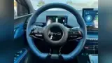 BYD Dolphin Mini - Miniatura 14