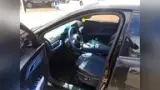 BYD Dolphin Mini - Miniatura 8