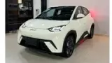 BYD Dolphin Mini - Miniatura 1