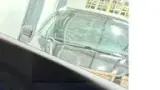 BYD Dolphin Mini - Miniatura 7
