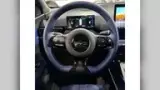 BYD Dolphin Mini - Miniatura 8