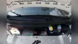 Gac Aion Y - Miniatura 13