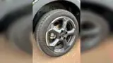 BYD Dolphin Mini - Miniatura 8