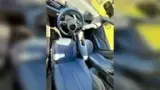 BYD Dolphin Mini - Miniatura 12