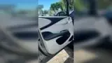 BYD Dolphin - Miniatura 3