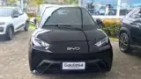 BYD Dolphin Mini - Miniatura 8