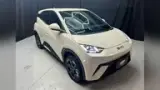 BYD Dolphin Mini - Miniatura 1