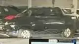 BYD Dolphin Mini - Miniatura 9