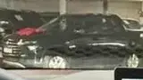 BYD Dolphin Mini - Miniatura 10