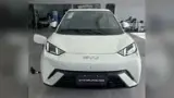 BYD Dolphin Mini - Miniatura 7