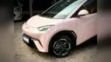 BYD Dolphin Mini - Miniatura 2