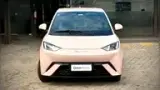 BYD Dolphin Mini - Miniatura 3