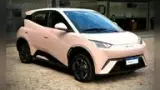 BYD Dolphin Mini - Miniatura 4