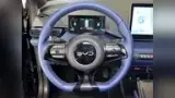 BYD Dolphin Mini - Miniatura 17
