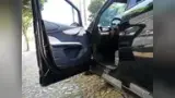 BYD Dolphin - Miniatura 9