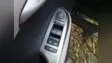 BYD Dolphin - Miniatura 10