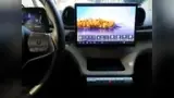 BYD Dolphin - Miniatura 20