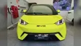 BYD Dolphin Mini - Miniatura 6