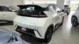 BYD Dolphin Mini - Miniatura 8