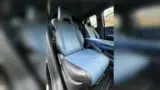 BYD Dolphin Mini - Miniatura 10