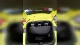 BYD Dolphin Mini - Miniatura 18