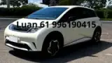BYD Dolphin - Miniatura 1