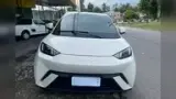BYD Dolphin Mini - Miniatura 9