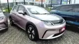 BYD Dolphin Plus - Miniatura 2