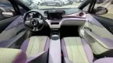 BYD Dolphin Plus - Miniatura 13