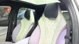 BYD Dolphin Plus - Miniatura 15