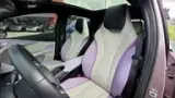BYD Dolphin Plus - Miniatura 16