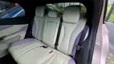 BYD Dolphin Plus - Miniatura 18
