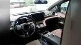 BYD Dolphin - Miniatura 8