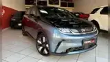 BYD Dolphin Plus - Miniatura 1