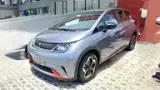 BYD Dolphin Mini - Miniatura 1
