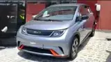 BYD Dolphin Mini - Miniatura 16