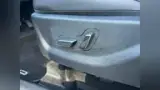 BYD Dolphin Mini - Miniatura 19