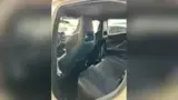 BYD Dolphin Mini - Miniatura 9
