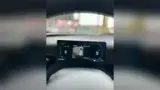 BYD Dolphin Mini - Miniatura 5