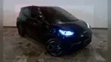 BYD Dolphin Mini - Miniatura 1