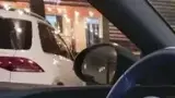 BYD Dolphin Mini - Miniatura 4
