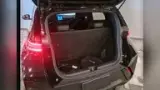 BYD Dolphin Mini - Miniatura 12