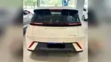 BYD Dolphin Mini - Miniatura 6