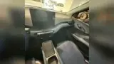 BYD Dolphin Mini - Miniatura 7