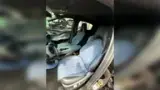 BYD Dolphin - Miniatura 4