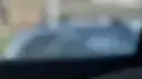 BYD Dolphin - Miniatura 9