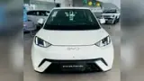BYD Dolphin Mini - Miniatura 1