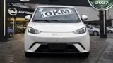 BYD Dolphin Mini - Miniatura 1